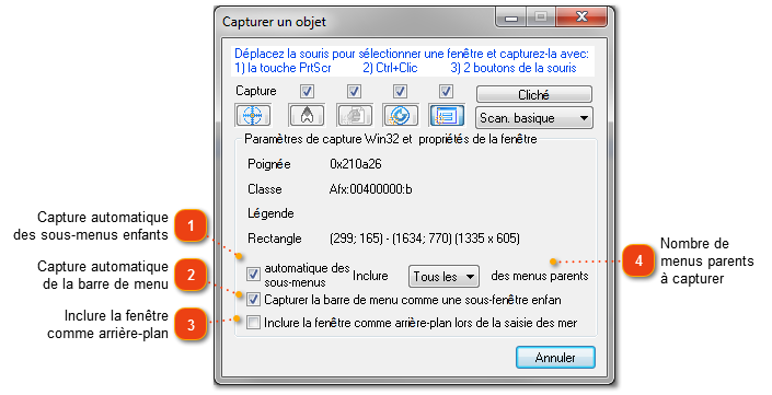 Boîte de dialogue Capture de la fenêtre : Paramètres Win32