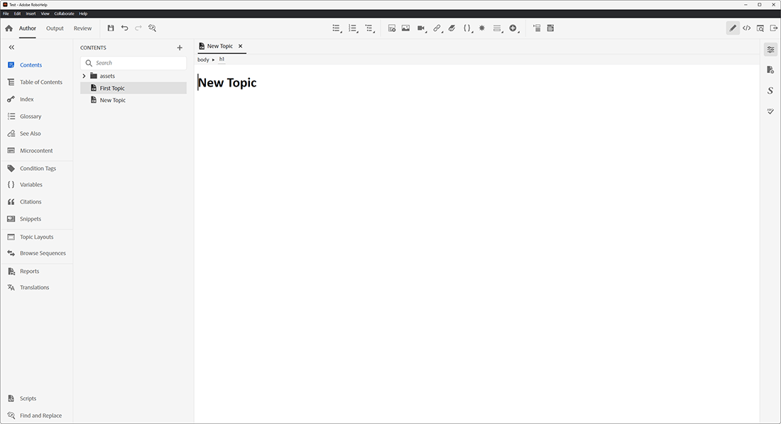 Adobe RoboHelp program interface window
