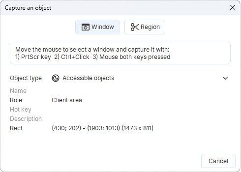 Automatic screen capture window